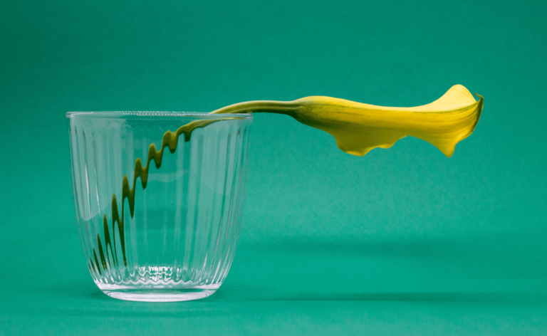 Guide to Healthy Eating