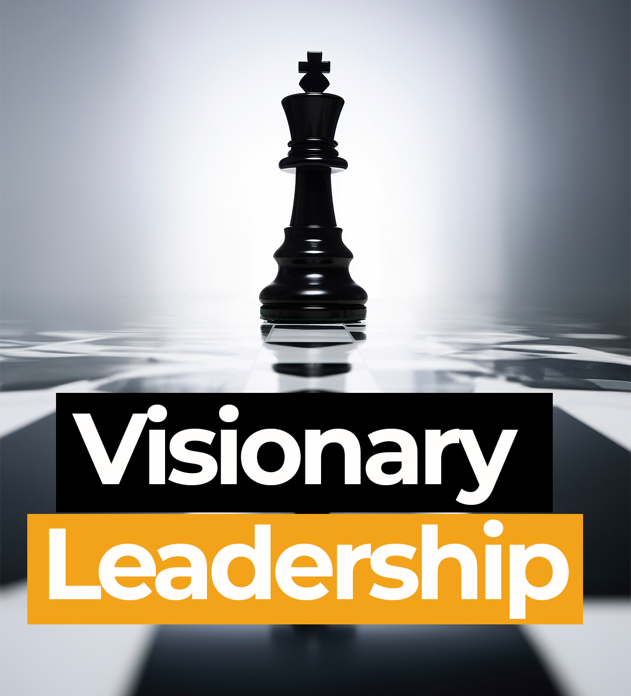 Visionary Leadership